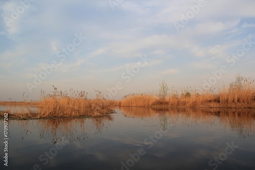 Autumn calm on the lake reflection of trees in water.