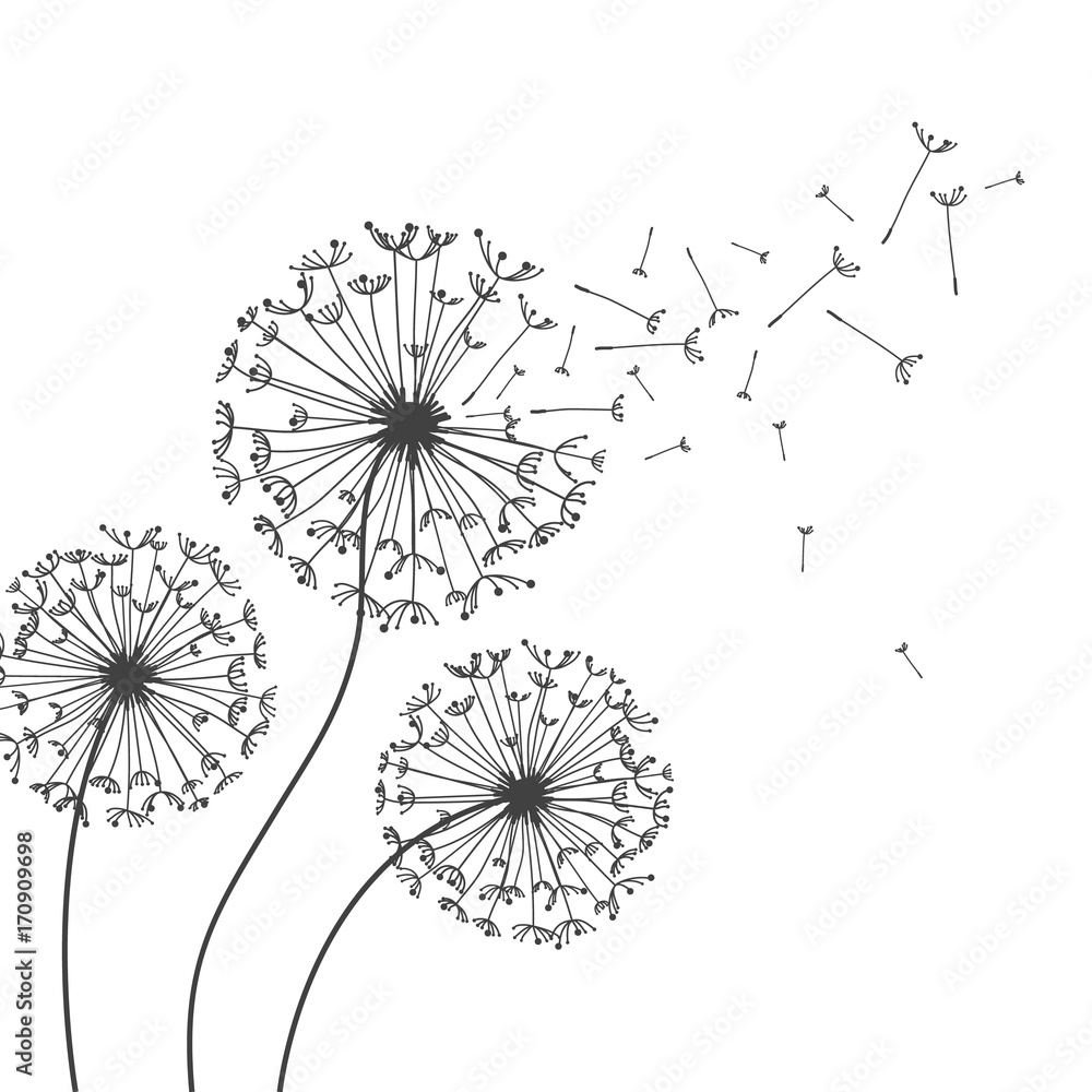 Hand drawn dandelion floral greeting card background. 2948676 Vector Art at  Vecteezy