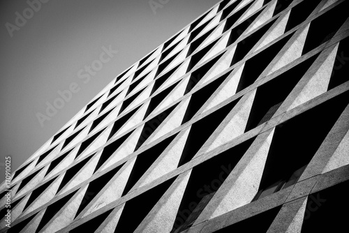 Zebra pattern. Abstract black and design.