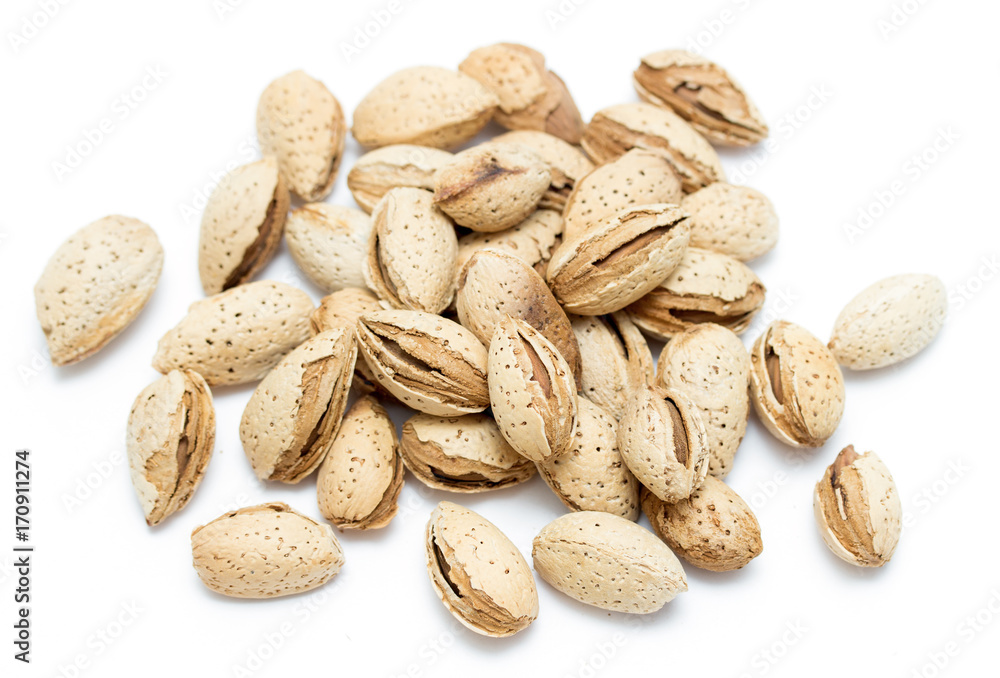 almond fruits on a white background almond fruits on a white background