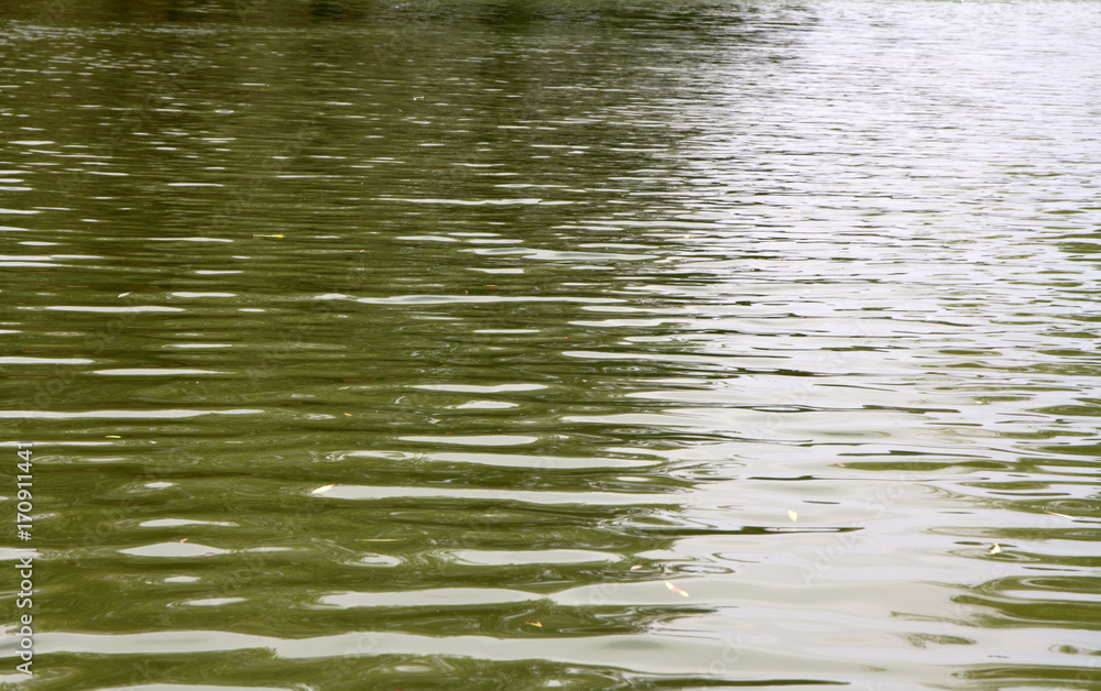 water surface wave water surface wave