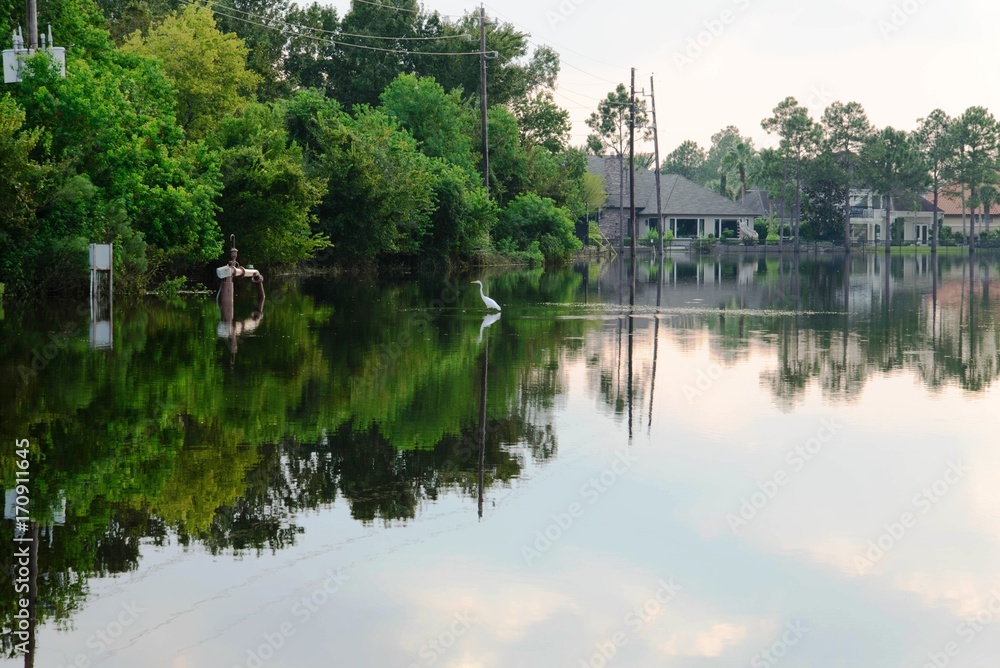 Fototapeta premium Post hurricane Harvey flooding in Houston near Tanner Rd and N Eldridge Pkwy