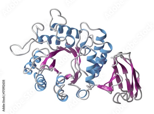 Alpha-galactosidase enzyme molecule, illustration photo