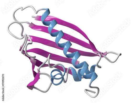 Birch pollen allergen molecule, illustration