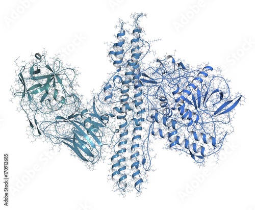 Botulinum toxin molecule, illustration photo