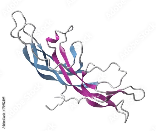 Chorionic gonadotropin molecule, illustration photo