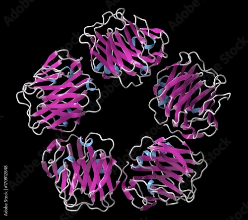 C-reactive protein molecule, illustration