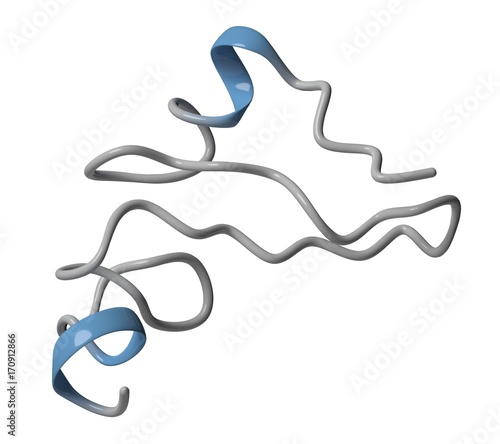 Epidermal growth factor molecule, illustration photo
