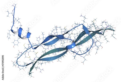 Endothelial growth factor A molecule, illustration photo