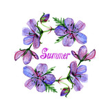 Watercolor illustration of flowers frame and summer lettering. Violet forest geranium.
