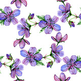 Watercolor floral seamless pattern with Forest geranium flowers on white background