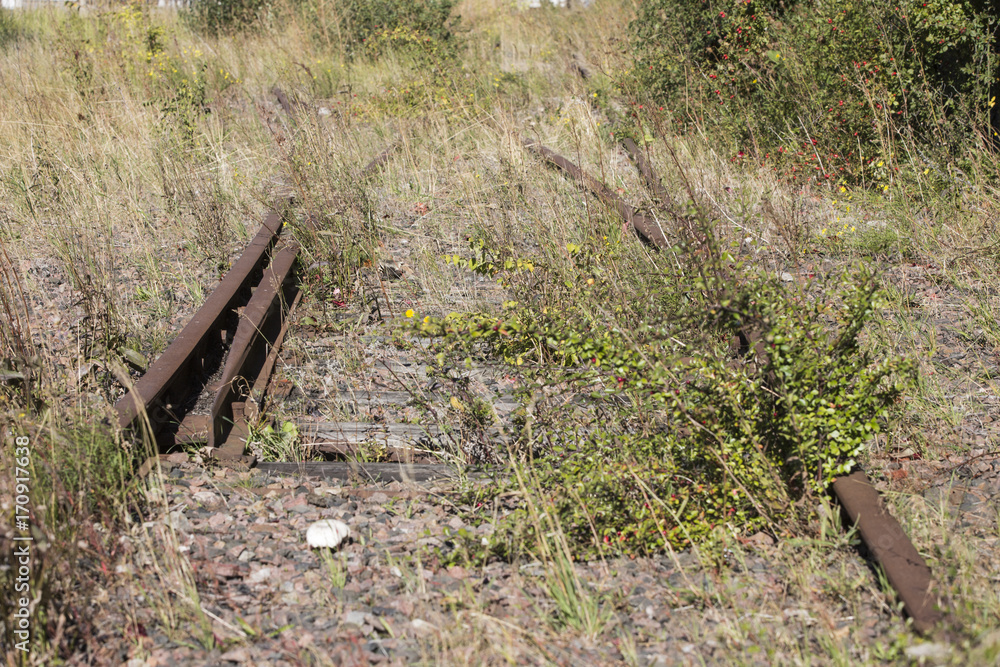 Fototapeta premium abandoned railroad