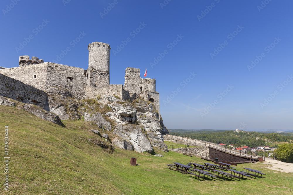 Obraz premium Ruins of 14th century medieval castle, Ogrodzieniec Castle,Trail of the Eagles Nests, Podzamcze, Poland