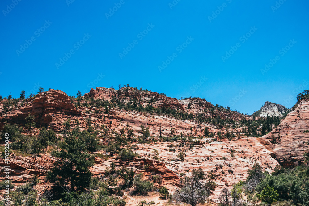 Rocks of weathering sandstone. Desert landscape of Utah. Zion National Park