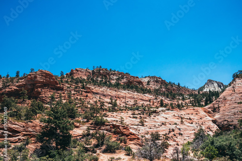 Rocks of weathering sandstone. Desert landscape of Utah. Zion National Park
