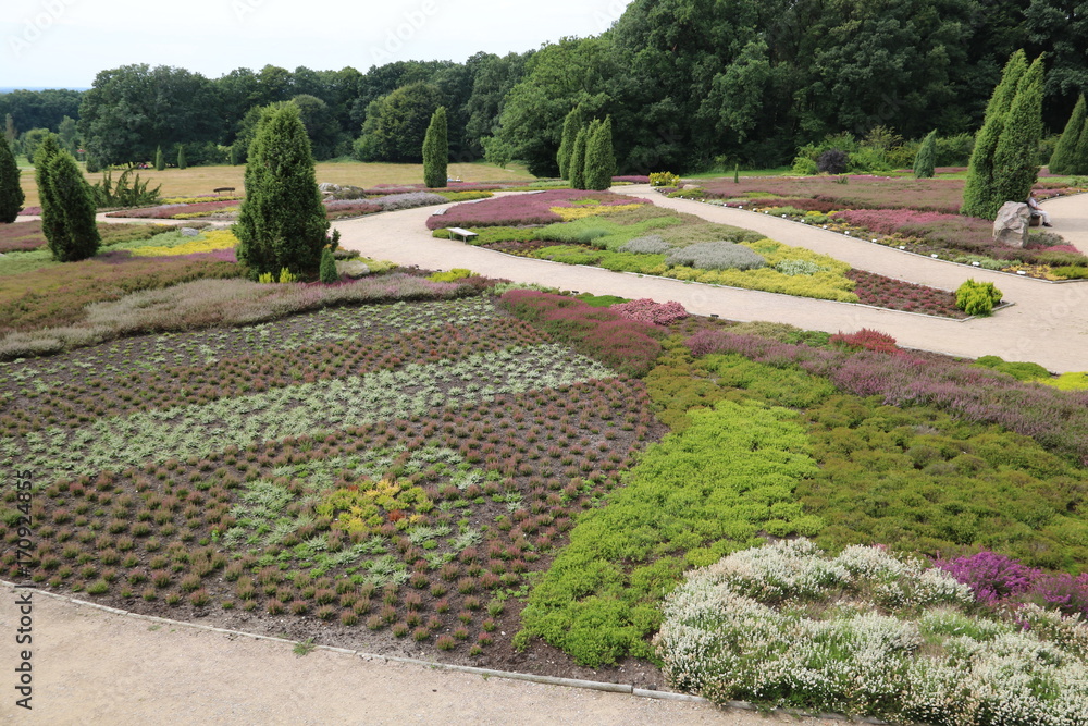 Der Heidegarten Schneverdingen im Sommer Der Heidegarten Schneverdingen im Sommer