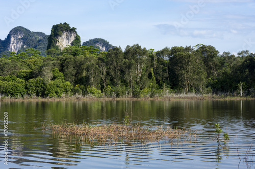 Nong Thale tropical pond and karst mountains landscape in Nong Thale  Krabi province  Thailand