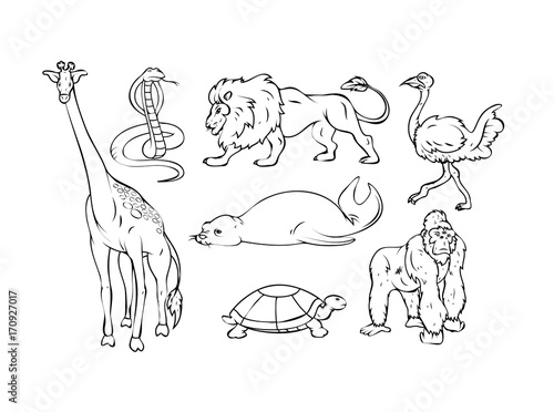 Cartoon Wild Animals Drawing Set - handmade clip-art vector Stock Vector |  Adobe Stock