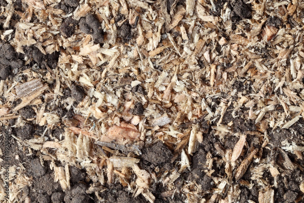 texture texture