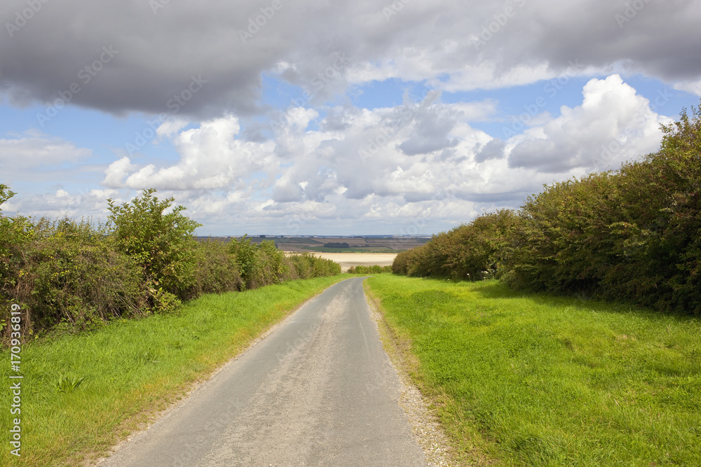 country road and hedgerows