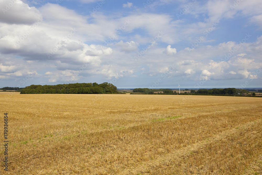 wind turbine and stubble field