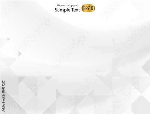 Gray Silver abstract vector background