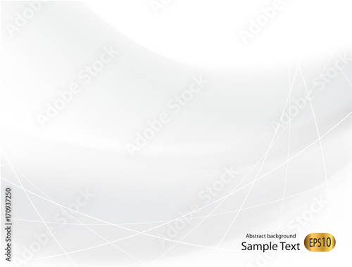 Gray Silver abstract vector background