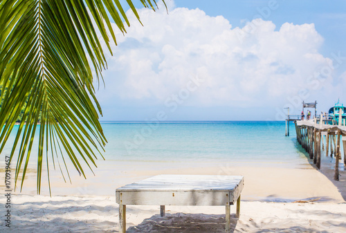 Palm leaf and tropical beach in Holiday © natara