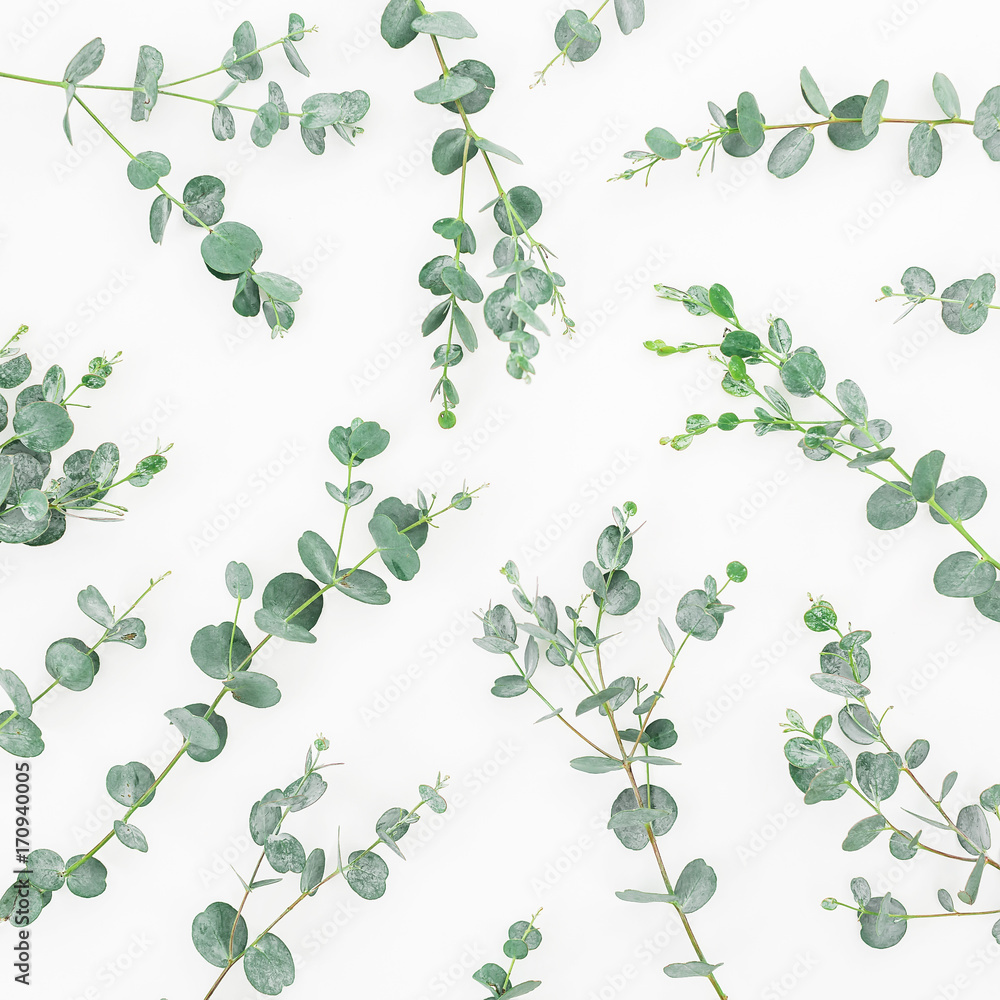 Fototapeta premium Pattern of eucalyptus branches isolated on white background. Flat lay, top view