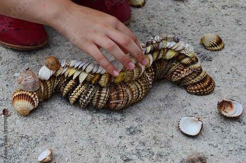 Multistage decorative caterpillar made of bivalve clam seashells on concrete beach molo, small girl hand adding final shells on top, some shells scaterred around