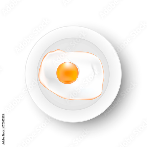 Fried egg on a plate. Omelet. Vector.