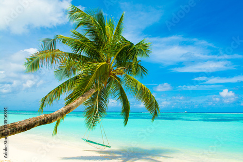 Tropical landscape with swings in the palm tree on the shores of Indian Ocean