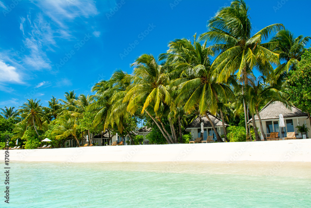 Obraz premium Beautiful sandy beach with sunbeds and umbrellas in Indian ocean, Maldives island