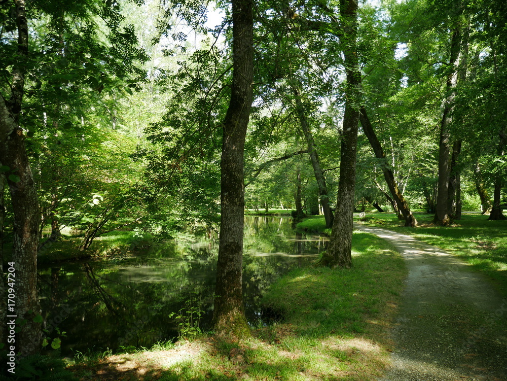 Fototapeta premium Park zamkowy Beaulon