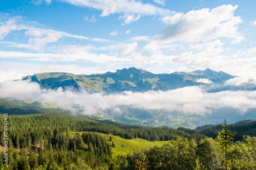 Beautiful mountainous landscape, fresh green plants and trees on high Alpine mountains