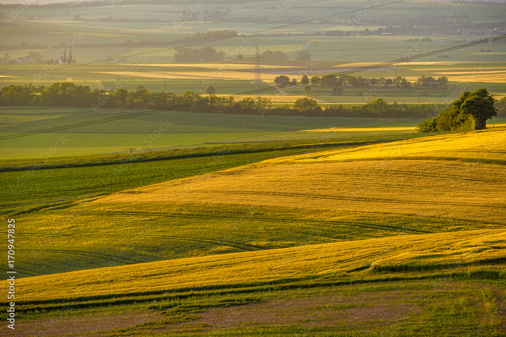 Fototapeta premium Rolling hills on sunset. Rural landscape. Green fields and farmlands, fresh vibrant colors