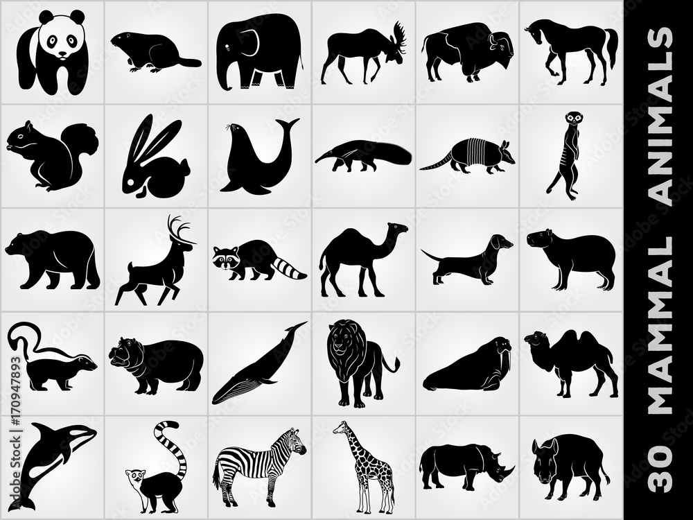 Thirty Mammalian Animals icon set