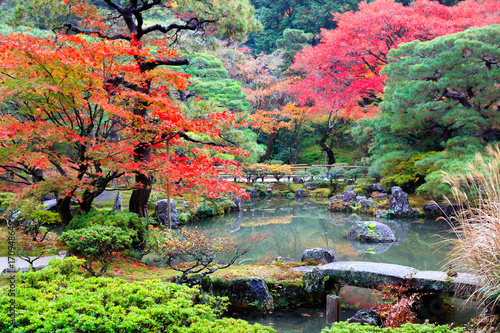 Photography Autumn landscape autumn leaves at Japanese garden, Kyoto Japan