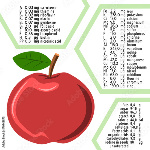 Apple diet infographics of the composition. Chemical composition of apple. The content of vitamins in the fruit. Caloric content of the product.