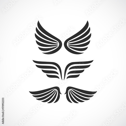 Angel wings vector icon set