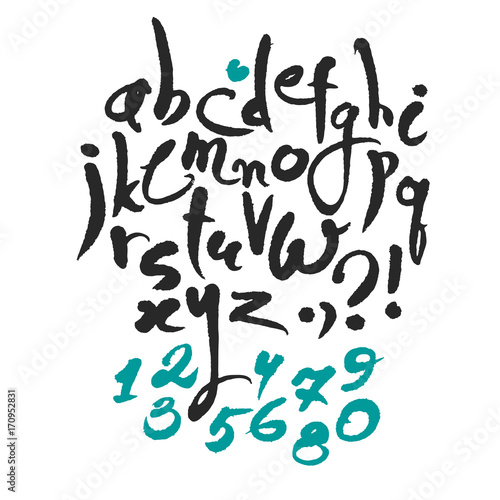 Latin Calligraphy Alphabet and Numbers