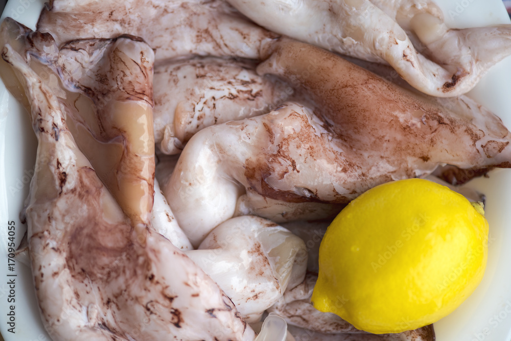 Close-up meat of fresh squid before cooking, food background Close-up meat of fresh squid before cooking, food background