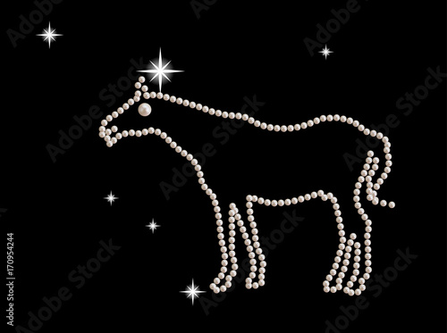 Jewel figurine horse decorated with white pearls.