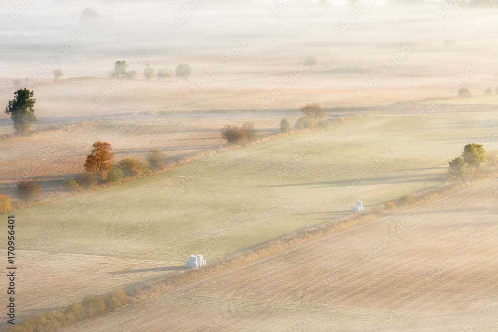 Obraz premium Autumn fog over an agricultural landscape