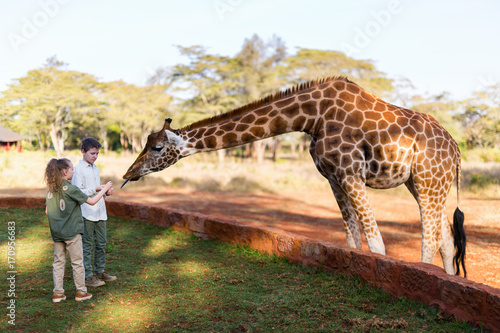 Sticker Kids feeding giraffes in Africa