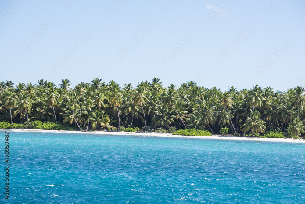 Caribbean sea with turquoise water and palms close to saona island