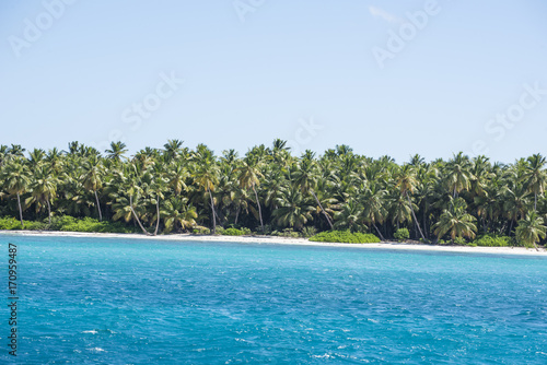 Caribbean sea with turquoise water and palms close to saona island