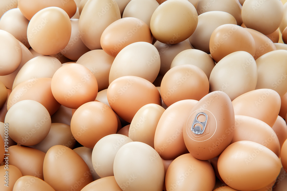 Eggs modified, artificial easy open one Eggs modified, artificial easy open one
