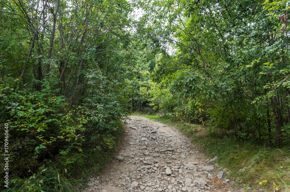 Stone path through the Rodna Mountains National Park Stone path through the Rodna Mountains National Park