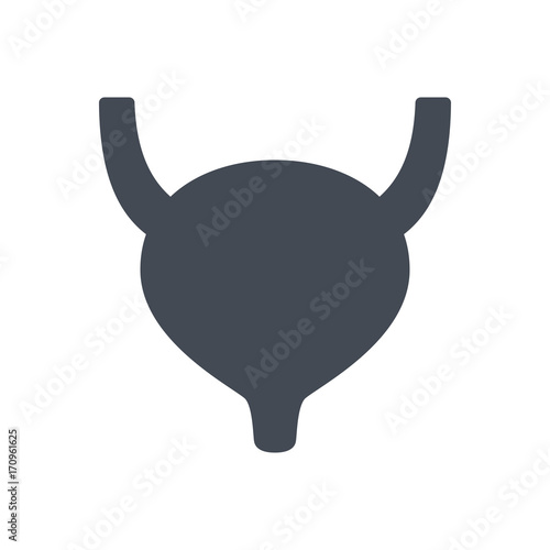 Human organs silhouette icon bladder
